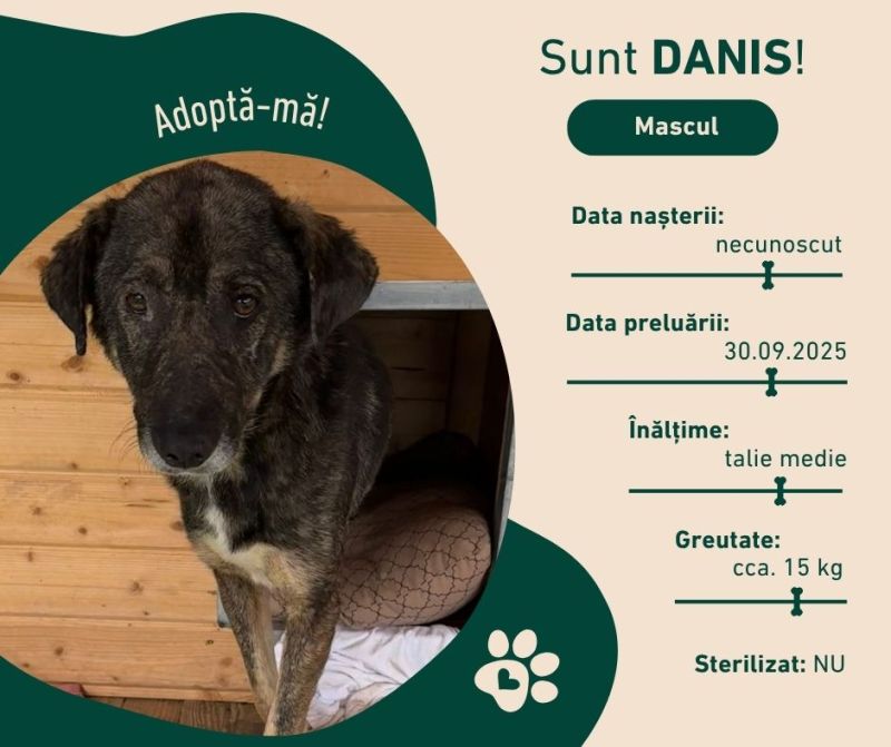 Danis Ro