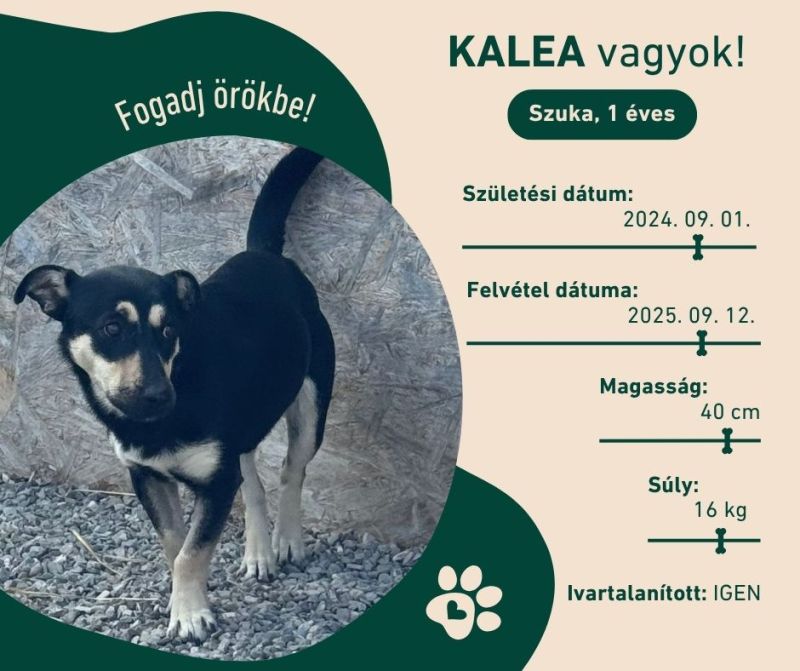 Kalea