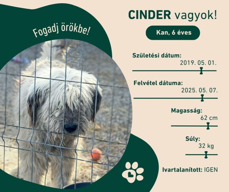 Cinder