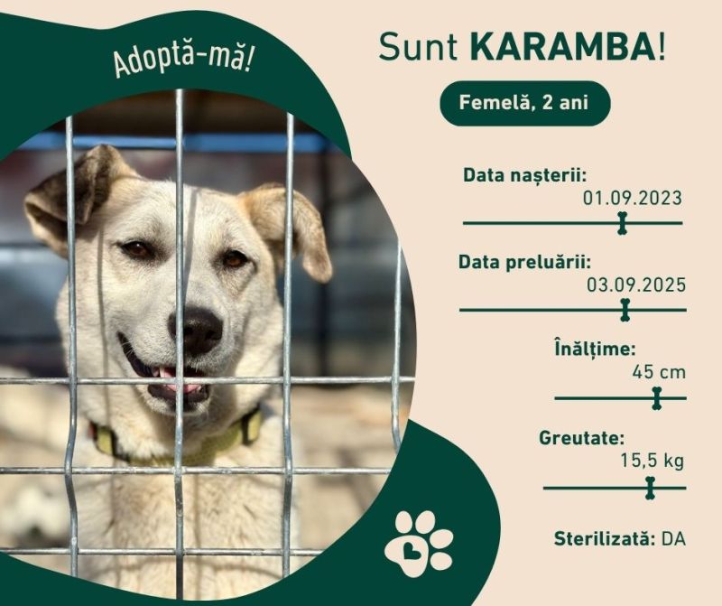 Karamba Ro