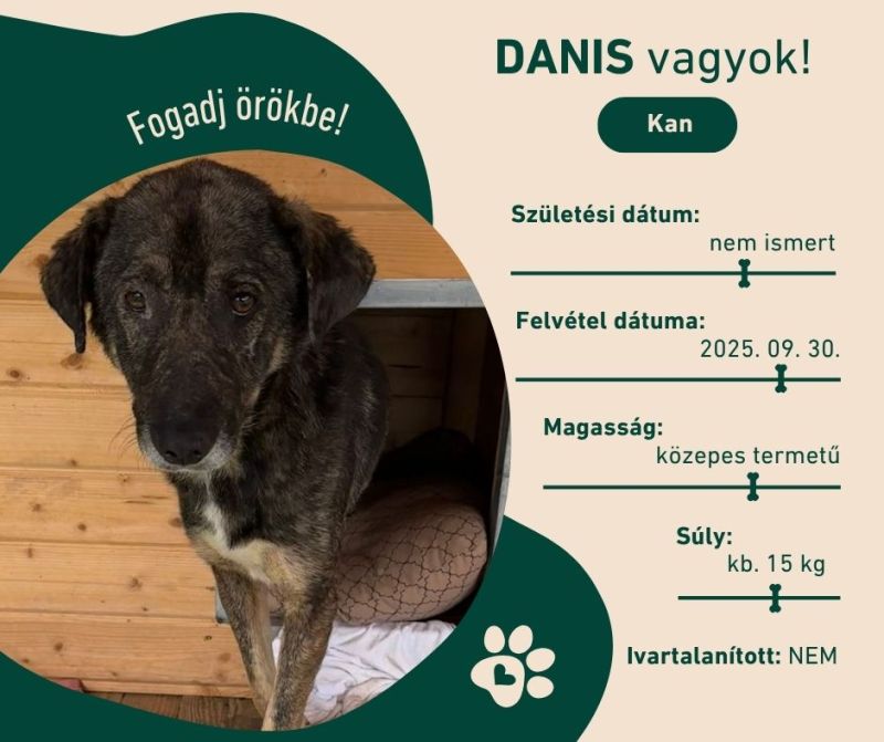 Danis