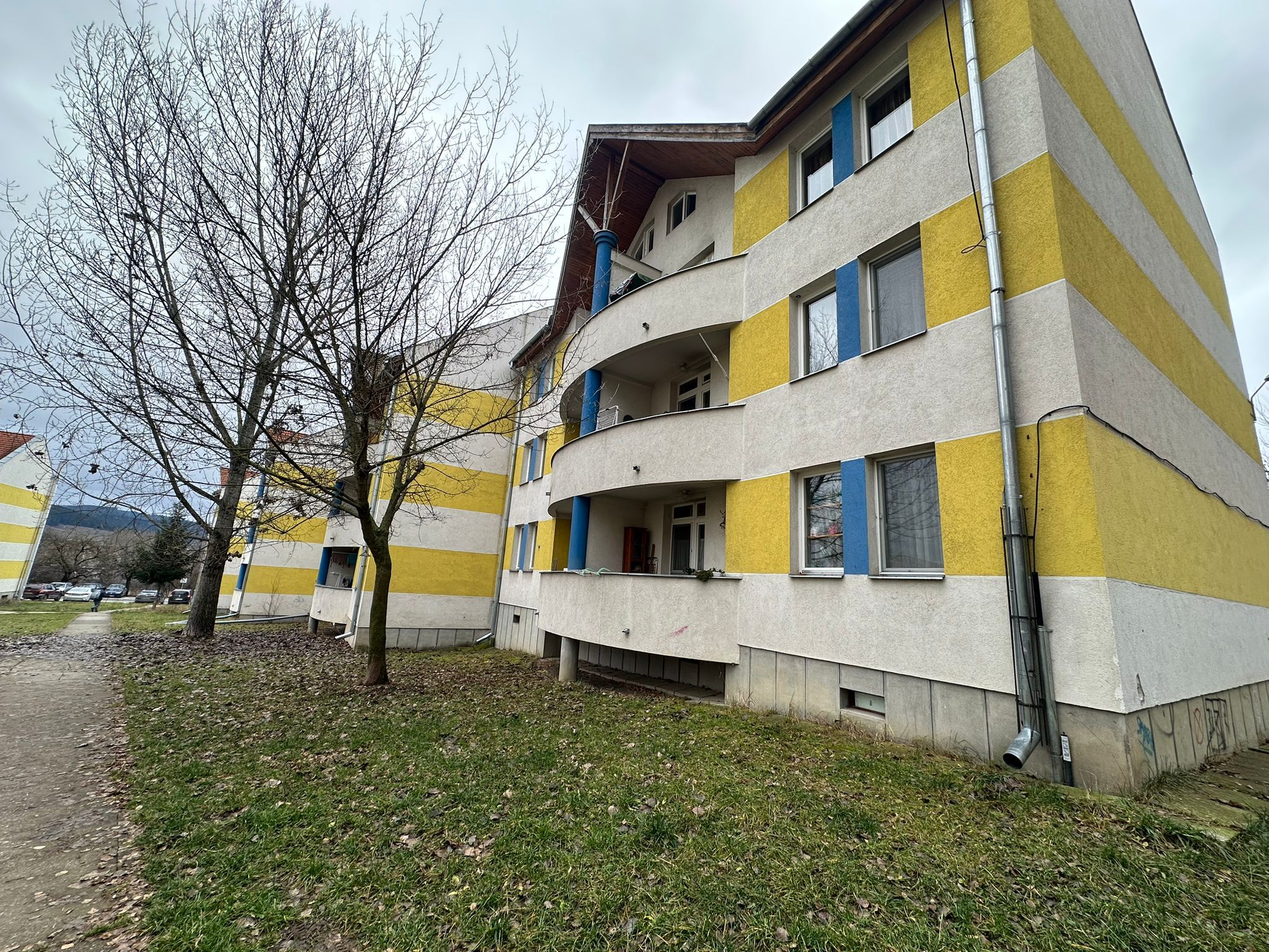Anl Pacsirta
