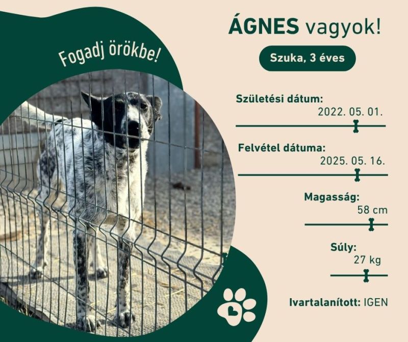 Agnes